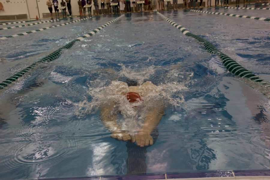 Photo gallery: boys swim conference
