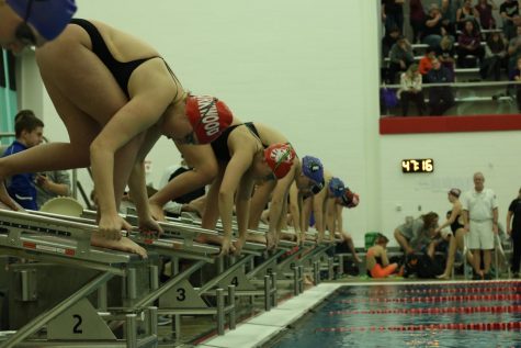 Swimmers prepare to dive before their race.