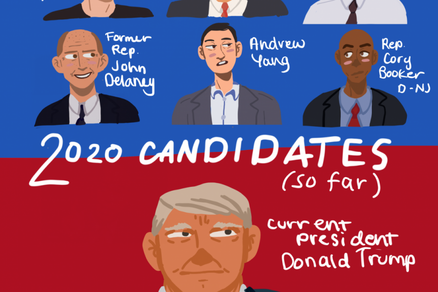 2020 Presidential candidates