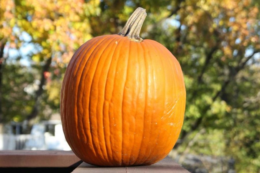 Pumpkin spice the quintessential fall scent.