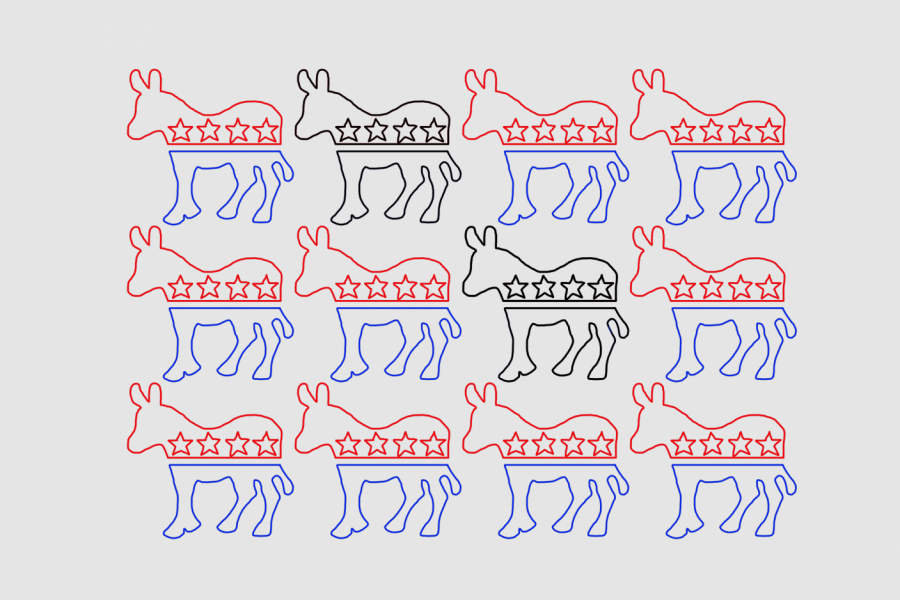 Democrats%3A+Newbies