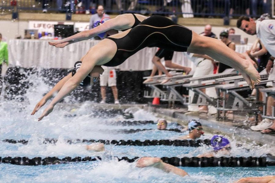 Paige Howell, junior, dives off the blocks as her race begins.