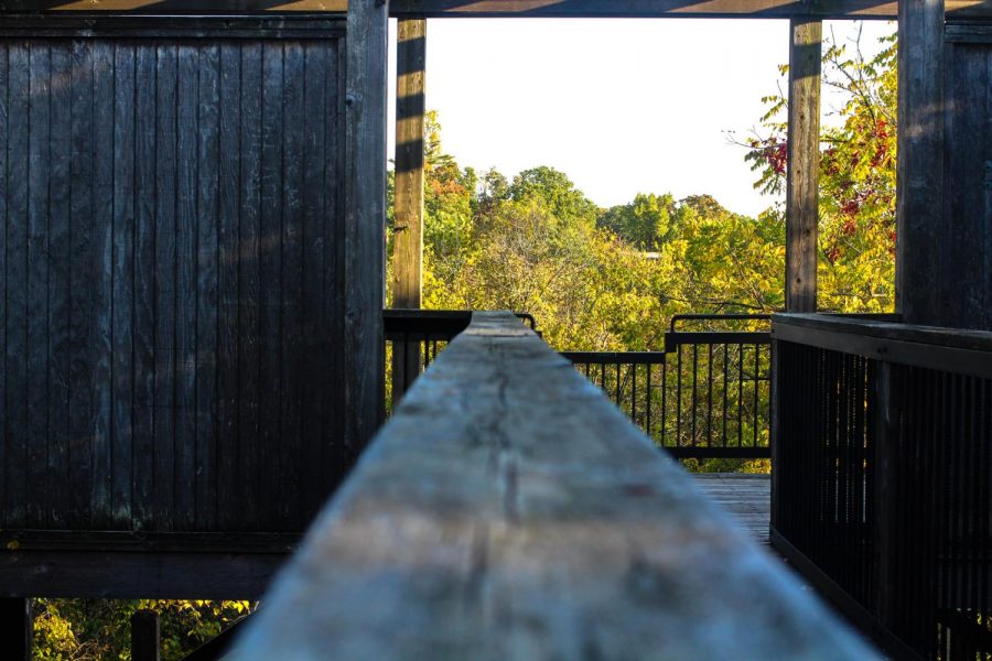 A beautiful lookout at Quarry park overlooking the whole park.