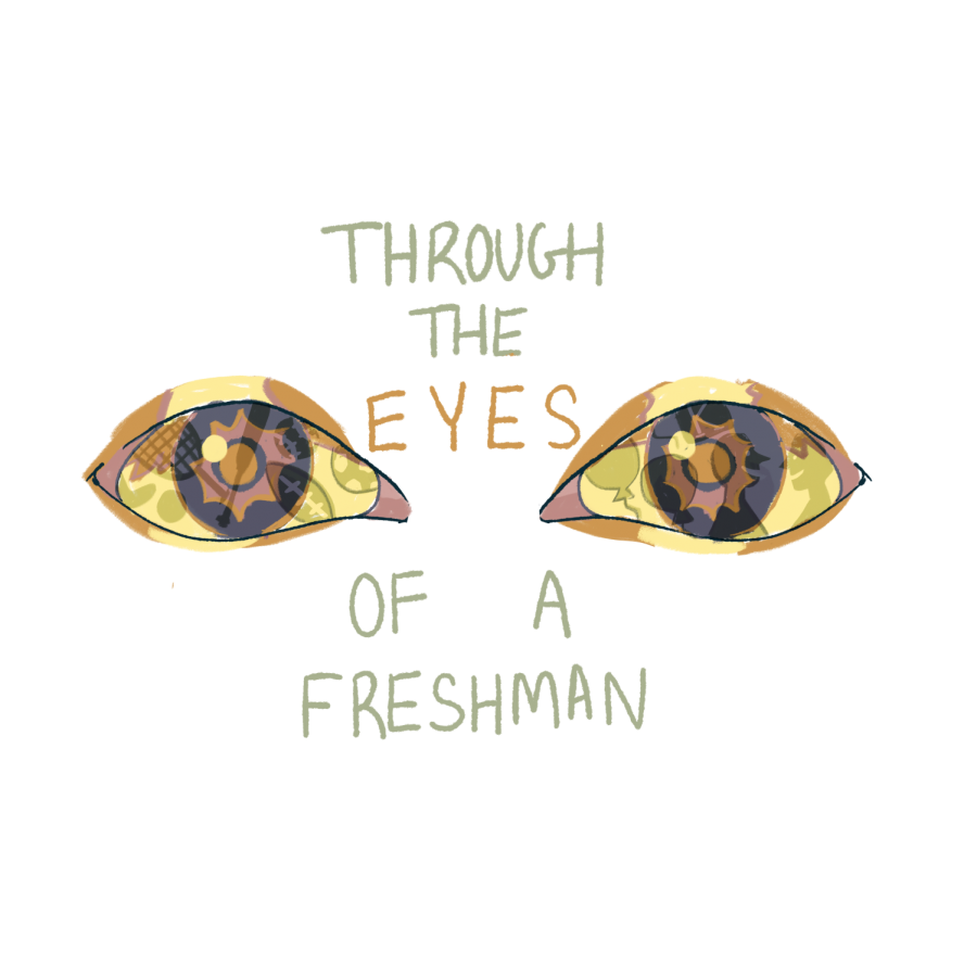 These+eyes+tell+a+story+when+you+observe+them+closely.+If+you+look+in+the+reflection+of+the+eye+you+can+see+some+of+the+things+that+freshmen+have+missed+out+on+this+year+due+to+COVID-19+including%3A+Watching+school+sports%2C+pep+rallies%2C+assemblies+and+exen+meeting+new+people++and+having+conversations.