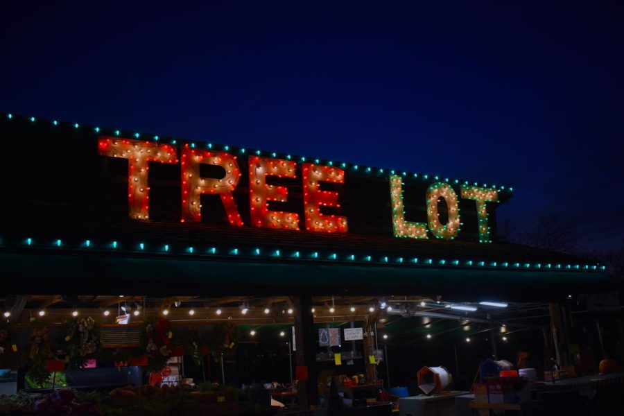 The Tree Lot sign shines bright in downtown Kirkwood, attracting customers.