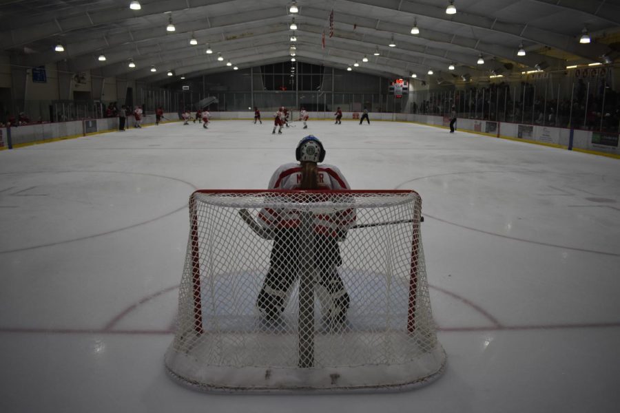 Goalie Morgan Miller, sophomore, watches the play across the rink from the goalie box.