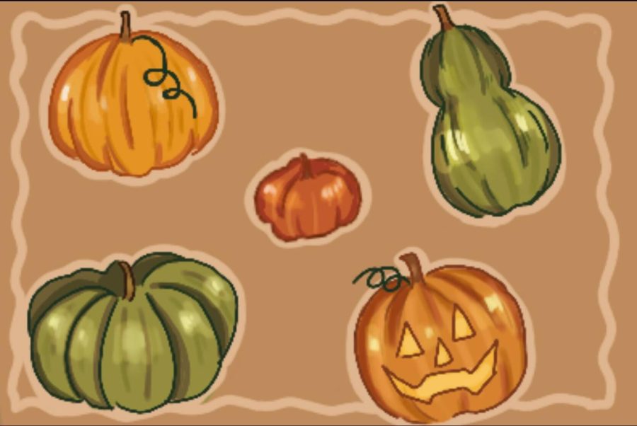 Find out what pumpkin you are with this quiz. Are you traditional and original, or are you spontaneous and adventurous? 
