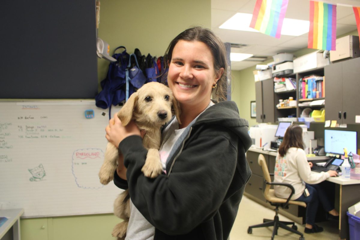 Molly Simon, who works in the vet, holds a dog.